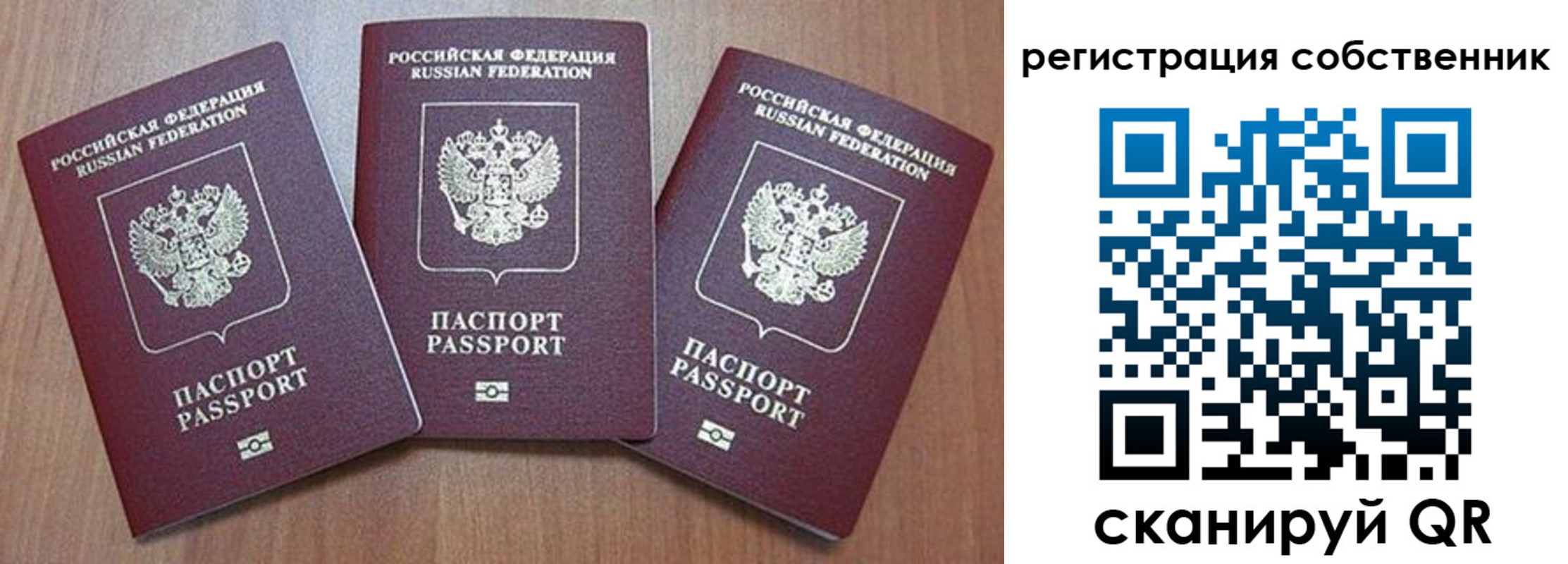 регистрация для школы в Кольчугино