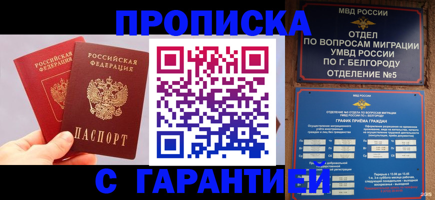 прописка 2025 в Кольчугино